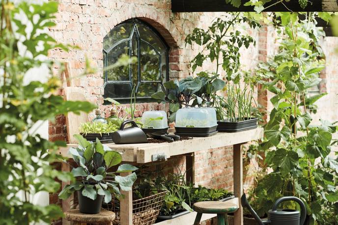 green basics kweektray schotel s living black